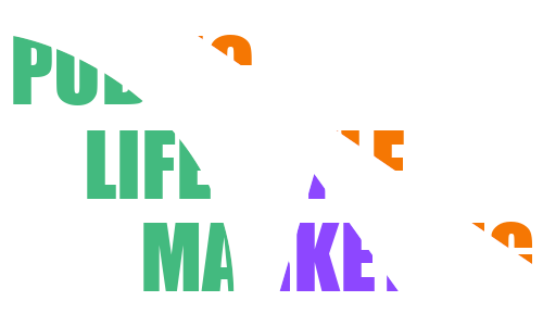 Public Lifestyle Marketing Ltd